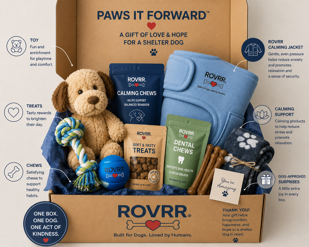 PAWS IT FORWARD™ Donate a Gift Box to a Shelter Dog 🐾❤️