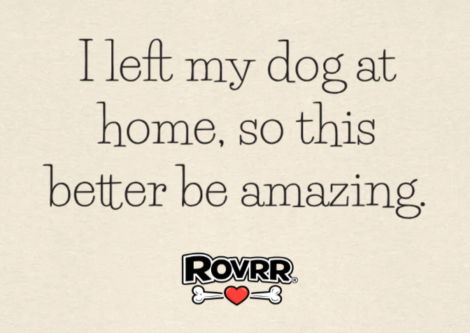 I left my dog at home for this - ring-spun t-shirt